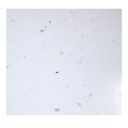 სამზარეულოს ზედაპირი - 4200*600*38 LEDYANNAYA ISKRA WHITE (55 P)